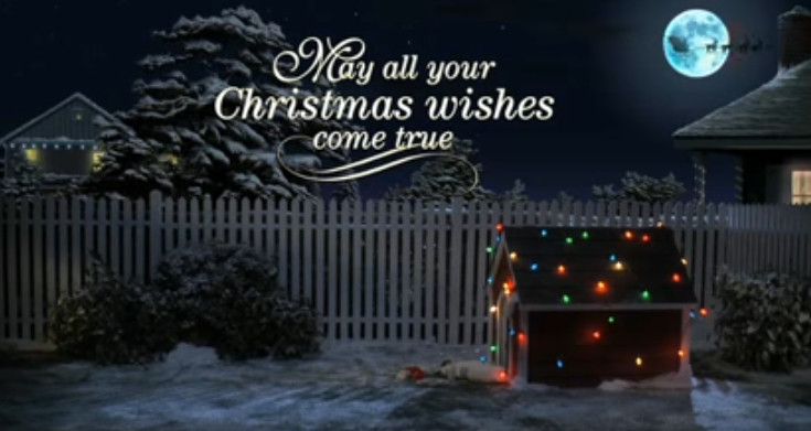 May All Your Christmas Wishes Come True