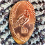 Missouri | Valley Park | World Bird Sanctuary/Lone Elk Park | Owl Elongated Cent
